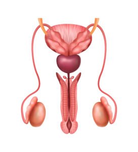 prostate cancer treatment in Mumbai